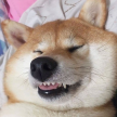 프로필 사진