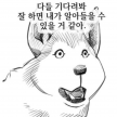 프로필 사진