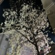 프로필 사진