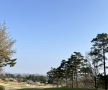프로필 사진