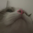 https://thecheat.co.kr/fs_sbl/member/2024/04/13/6101747e4a2c79dce31e2051e8468c69.png