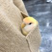 프로필 사진