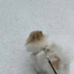 프로필 사진
