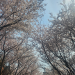 프로필 사진