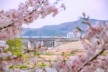 프로필 사진