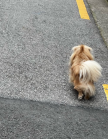프로필 사진