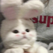 프로필 사진