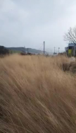 프로필 사진