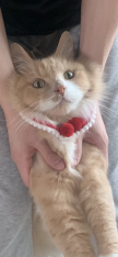 프로필 사진