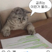 프로필 사진
