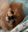 프로필 사진