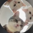 프로필 사진