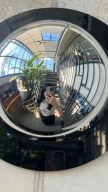 프로필 사진