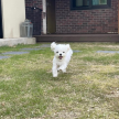 프로필 사진