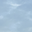 프로필 사진