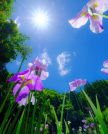 프로필 사진