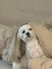 프로필 사진