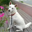 https://thecheat.co.kr/fs_sbl/member/2024/08/10/13fda2456d0b2fe0bd4208c2252037f5.png