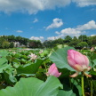 https://thecheat.co.kr/fs_sbl/member/2024/08/12/8aa5b7920817e20aadb7a296395abfeb.png
