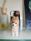프로필 사진