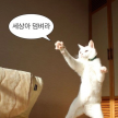 프로필 사진