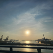 https://thecheat.co.kr/fs_sbl/member/2024/09/18/38619430a0d86b2bb7bf76fb110f6c4a.png