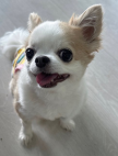 프로필 사진