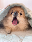 프로필 사진