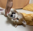 프로필 사진