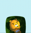 프로필 사진
