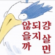 프로필 사진