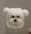 프로필 사진