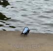 프로필 사진