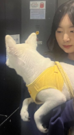 프로필 사진