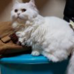 프로필 사진