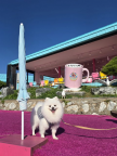 프로필 사진