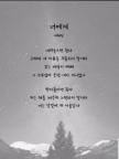프로필 사진