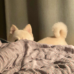 프로필 사진