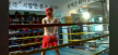 https://thecheat.co.kr/fs_sbl/member/2024/12/13/5e5d4a6c6a16096f3d481484e5f6e421.png