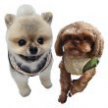 https://thecheat.co.kr/fs_sbl/member/2024/12/15/4db0f8437f0a5c4be04b9e2657f2359c.png