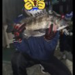 https://thecheat.co.kr/fs_sbl/member/2024/12/16/736f540996d191c63802e2330bc7745e.png