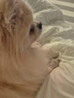 https://thecheat.co.kr/fs_sbl/member/2024/12/19/175d2f40e816bf2ffa4eec6c7ad66389.png