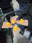프로필 사진