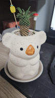 프로필 사진