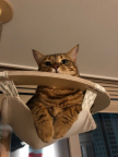 https://thecheat.co.kr/fs_sbl/member/2024/12/30/57ae983617a047ae66f9ce3c42c28a53.png