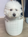 프로필 사진