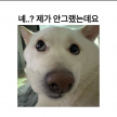 https://thecheat.co.kr/fs_sbl/member/2025/01/15/f68cc441303c03674b6f78592419615c.png