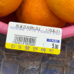 프로필 사진