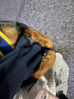 프로필 사진