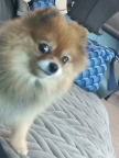 프로필 사진